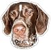 German Shorthaired Pointer Magnet