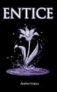 Entice
