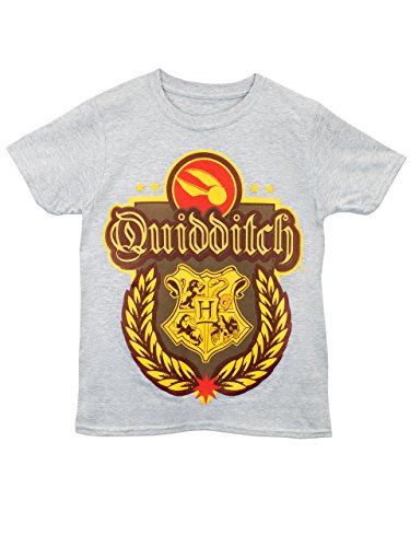 Harry Potter Boys' Harry Potter Quidditch T-Shirt