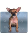 Chihuahua and Paw Prints Diecut Mousepad