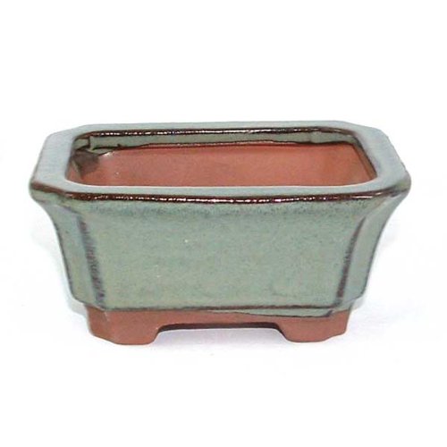 10.5cm Bonsai or Accent Pot - Green Rectangle