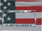 LASER ENGRAVED LICENSE PLATE FRAME ABYSSINIAN CAT