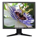 Princeton VL1919 - Flat panel display - TFT - 19