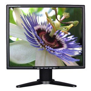 Princeton VL1919 - Flat panel display - TFT - 19 - 1280 x 1024 / 75 Hz - 300 cd/m2 - 700:1 - 6 ms - 0.294 mm - DVI-D, VGA - speakers