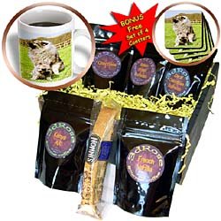 Dogs Keeshond - Keeshond - Coffee Gift Baskets - Coffee Gift Basket by 3dRose LLC