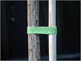 Review   / Velcro Plant Ties 9.14m