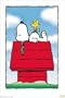 Peanuts - Snoopy's Dog House Poster