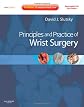 Principles and Practice of Wrist Surgery with DVD