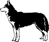 Siberian Husky, 20cm Aufkleber