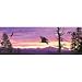 Search : To Surf the Sunset 500 pc