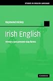 Irish English: History and Present-day Forms (Studies in English Language)