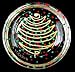 Christmas Trees Design - Hand Painted - Coaster - 3.75 inch diameter