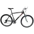 Mifa Herren Mountainbike Hardtail, 24 Gang, grau matt, Rahmenh�he: 48 cm, Reifengr��e: 26 Zoll (66 cm), MM591-01