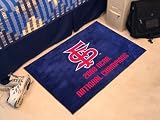 Fresno State Bulldogs 20x30 Starter Floor Mat (Rug)