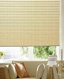41UMMnp6EzL. SL160  Bali NeatPleat Stripe w/Cordless and Dayliner   Pleated...