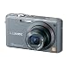 Panasonic �f�W�^���J���� LUMIX (���~�b�N�X�j FX100 �V���o�[ DMC-FX100-S