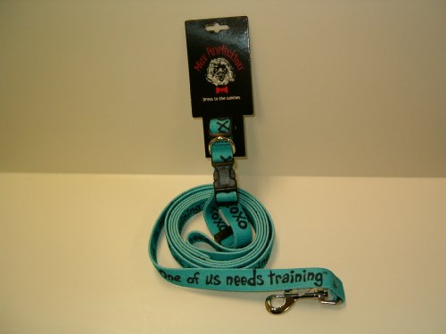 Dog Leash And Collar Set