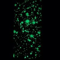 Inask Luminous Effect Fluorescent Glow in the Dark Hard Case Back Cover Heavy Duty for Iphone 6 ( 4.7") with Free LCD Film Starry Sky by INASK