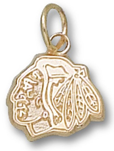 Chicago Blackhawks Pendant - 10K Gold Head Logo