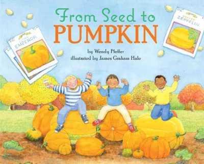 Pumpkin