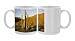 Photo Mugs of Mexico, Baja, Santa from Danita Delimont