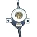 Ceramic Mini-Candelabra Light Bulb Socket