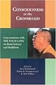 Consciousness at the Crossroads (Paperback)