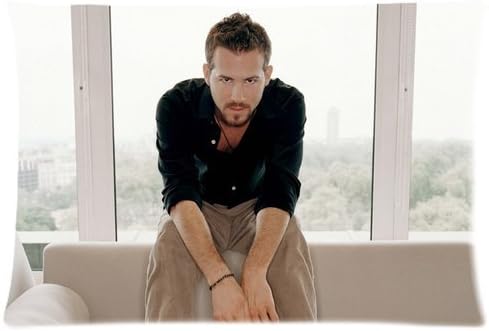 Ryan Reynolds Zippered Pillow Case Cushion Case Pillow Cover 20x30(two sides)