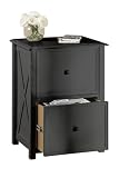 Cldwll Letter And Legal Fild C 2 Drawers Black