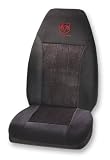 Dodge Plasticolor