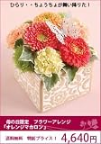 �y��̓��z  �����ԃA�����W�u�I�����W�}�J�����v��  �y���d�炫�̃K�[�x���������Ղ��z