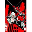 Spider-Man/Black Cat: Evil That Men Do Marvel Premiere HC (Spider-Man (Marvel Hardcover))