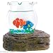 Petquarium