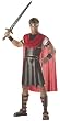 Adult Hercules Costume