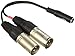 ALZO Stereo Microphone Adapter Cord for Pro Camcorders, 3.5 TRS Mini Phone Female Jack to 2 XLR Stereo for Use with Mics from Rode, Azden, Audio-Technica, Shure, Sony, Tascam