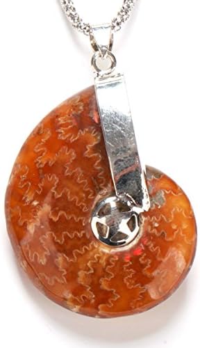 1pc Natural Unique Ammonite Fossil Specimen Shell Healing Free Size Beaded Pendant for Women and Men
