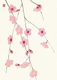 清野蒼花「花と実」（２）枝垂梅