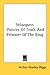 Book Velazquez: Painter Of Truth And Prisoner Of The King