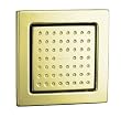 KOHLER K-8002-AF WaterTile 54-Nozzle Bodyspray, Vibrant French Gold