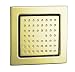 KOHLER K-8002-AF WaterTile 54-Nozzle Bodyspray, Vibrant French Gold