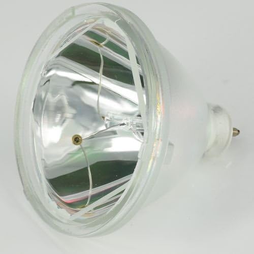 Awo-Lamps 610-284-4627 / LMP29 Projector Compatible Bare Bulb/Lamp for SANYO PLC-XF20 PLC-XF21 EIKI LC-XT1 150Day Warranty