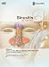 sinusitis26 - Sinusitis An Overview Otolaryngology