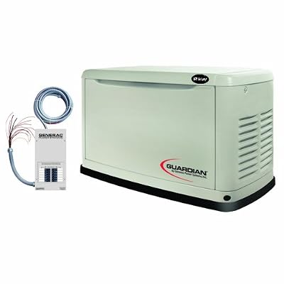 natural gas generator