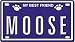 MOOSE Dog Name Plate for Dog House. Over 400 Names Availaible. Type in Name