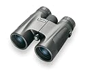 Bushnell Powerview - Roof 10x 32 mm anthracite