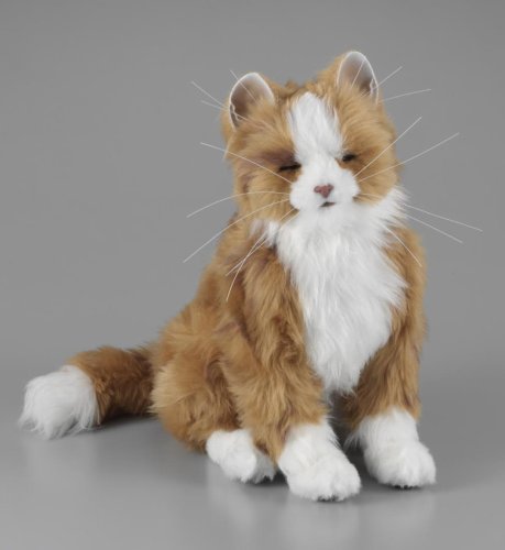 Cover image : 首輪でおしゃべり 夢ねこハート