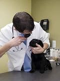First Check-up - 24