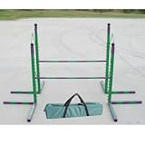Agility Double Parallel Bar Hurdle For Small Dogs/Blue and Yellow
