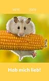 Hamster Mini Hab mich lieb 2009