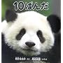 10�ς� (�Ȋw�V���[�Y)